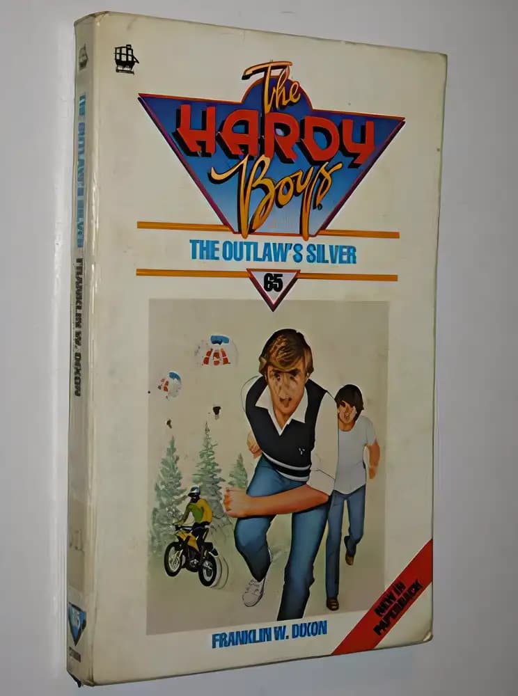 Book cover of 'The Outlaws Silver'