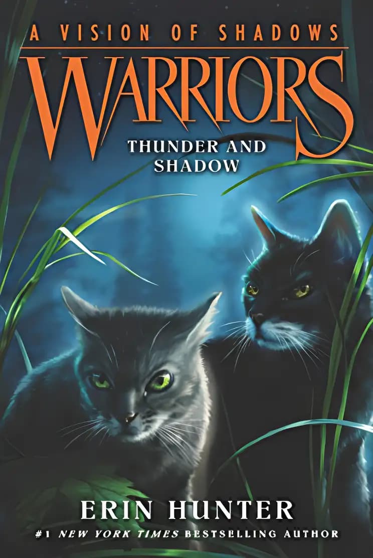 Book cover of 'Thunder and Shadow'