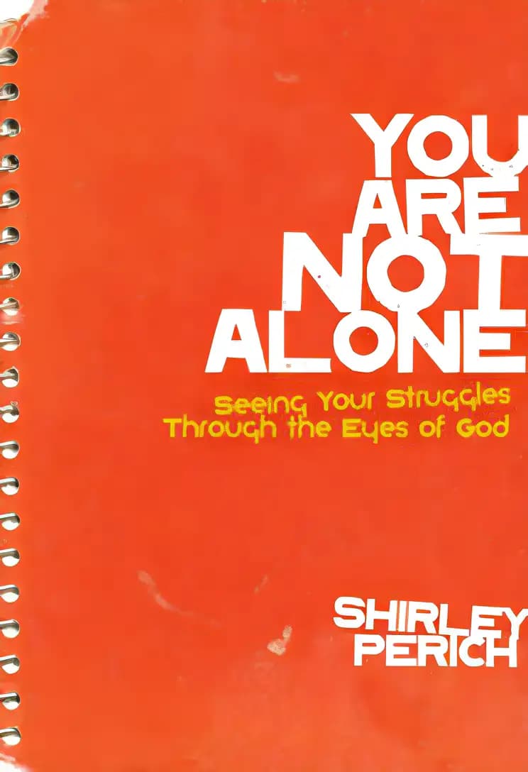 Book cover of 'You Are Not Alone: Seeing Your Struggles Through the Eyes of God (Invert)'