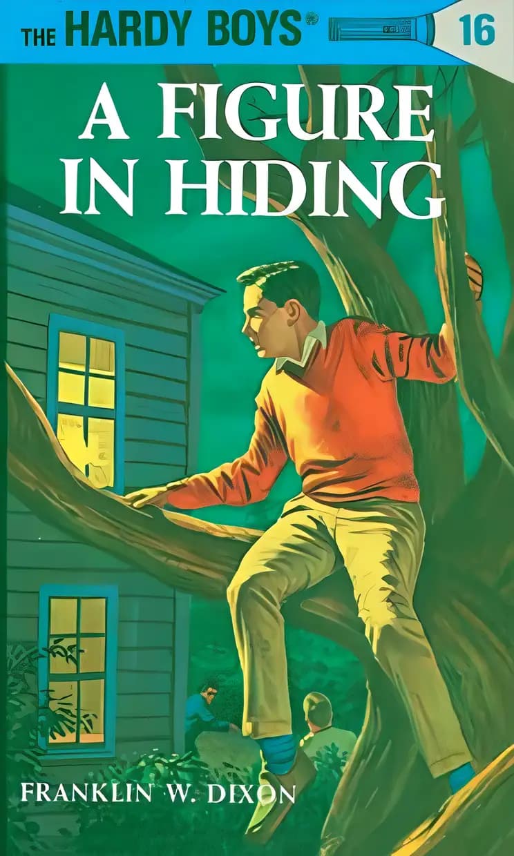 Book cover of 'A Figure in Hiding'