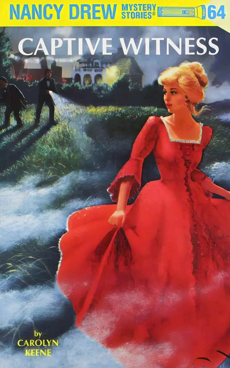 Book cover of 'Captive Witness'