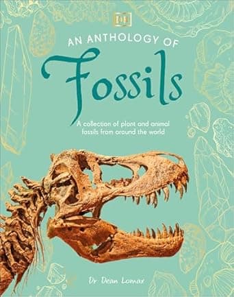 Book cover of 'An Anthology of Fossils: A Collection of Plant and Animal Fossils From Around the World (DK Little Anthologies)'