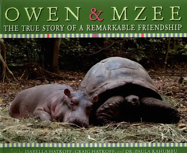 Book cover of 'Dates, Double Dates and Big, Big Trouble (Ally's World)'