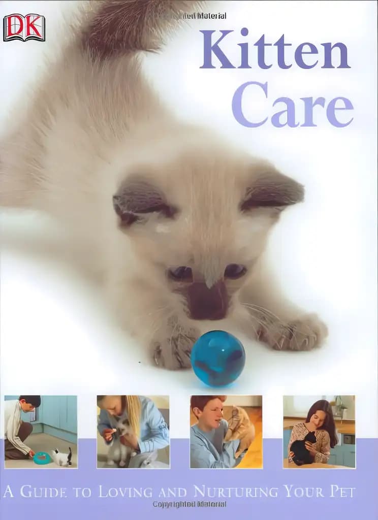 Book cover of 'Kitten Care (How to Look After Your Pet)'