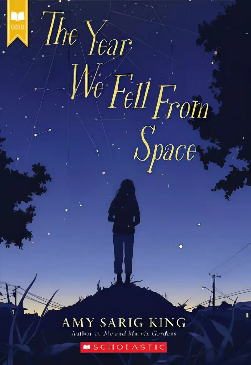 Book cover of 'The Year We Fell From Space (Scholastic Gold)'