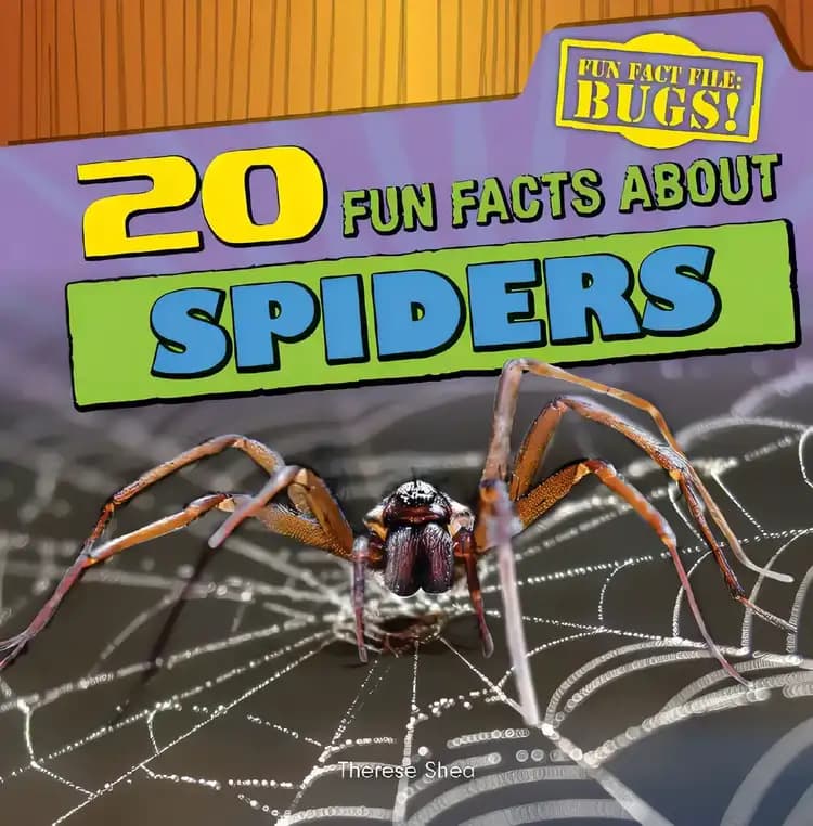 Book cover of '20 Fun Facts About Spiders (Fun Fact File)'