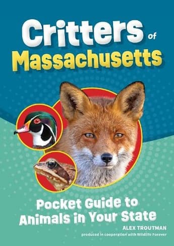 Book cover of 'Critters of Massachusetts: Pocket Guide to Animals in Your State'