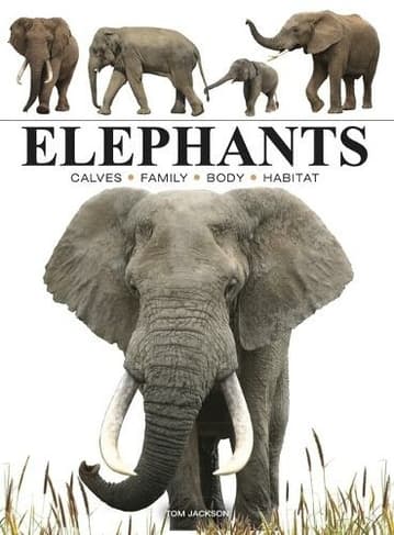 Book cover of 'Elephants: (Mini Animals)'