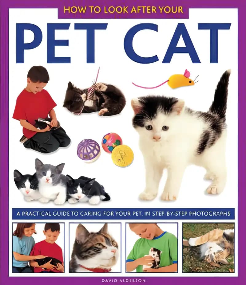 Book cover of 'How To Look After Your Pet Cat: A practical guide to caring for your pet, in step-by-step photographs'