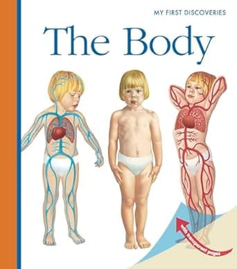 Book cover of 'The Body (My First Discovery Paperbacks)'