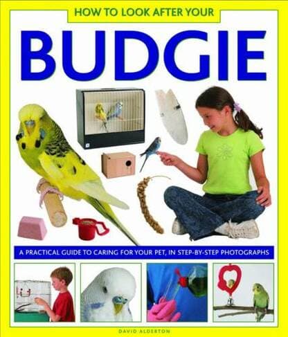 Book cover of 'How to Look After Your Budgie'