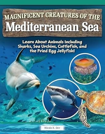Book cover of 'Magnificent Creatures of the Mediterranean Sea: Learn About Animals Including Sharks, Sea Urchins, Cuttlefish, and the Fried Egg Jellyfish! (Curious Fox Books) Ocean Animal Fun Facts for Kids 4-10'