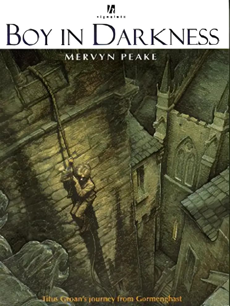 Book cover of 'Boy in Darkness'