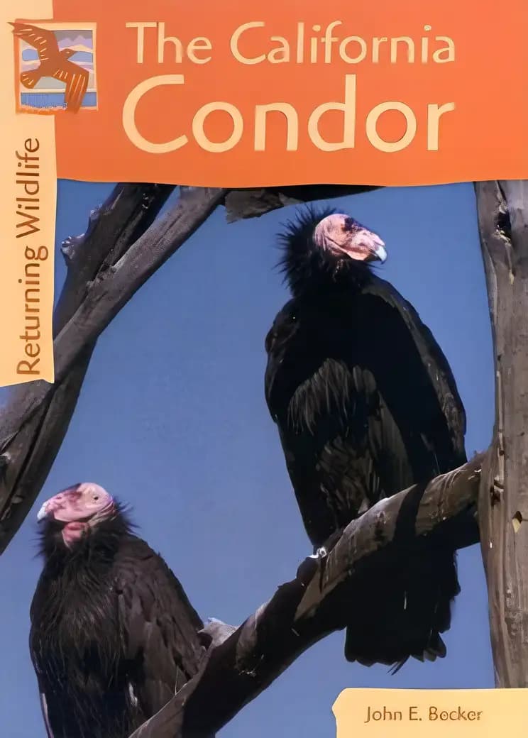 Book cover of 'California Condors (Returning Wildlife)'