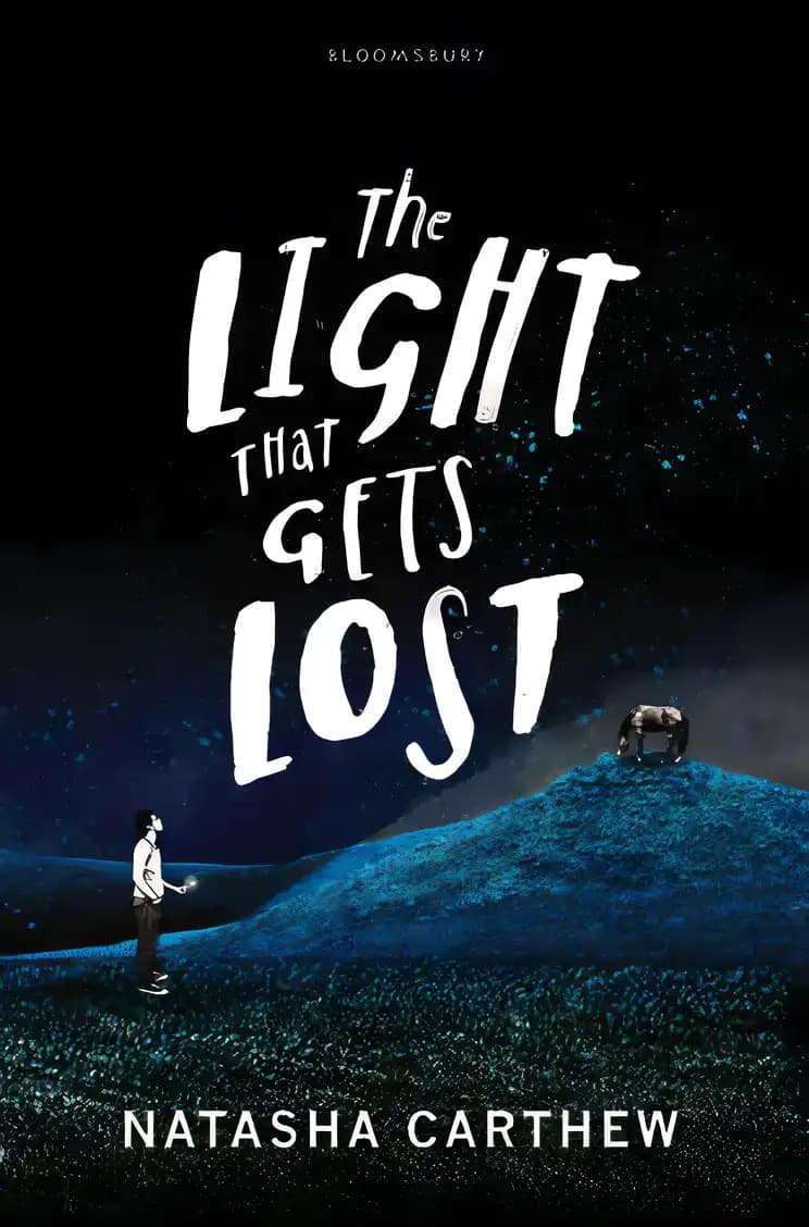 Book cover of 'The Light That Gets Lost'