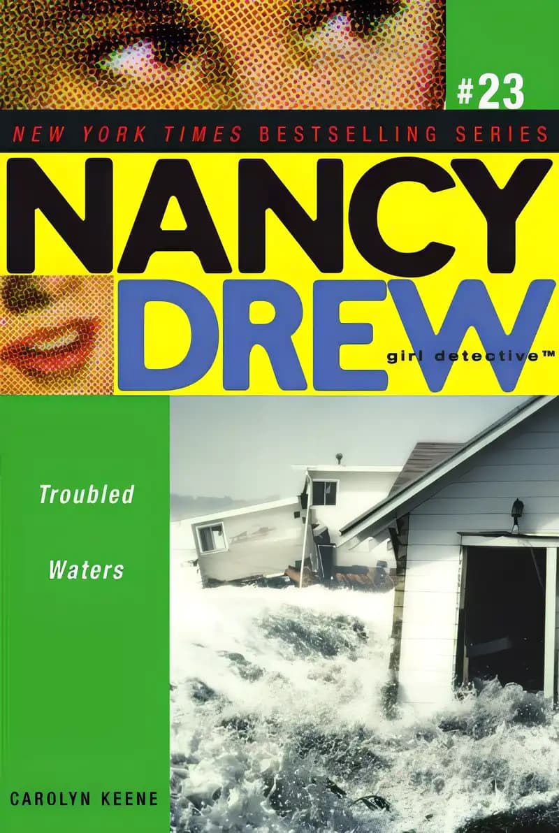 Find out what’s special about Troubled Waters Book cover of 'Troubled Waters'