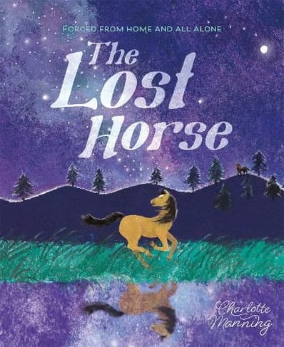 Uncover the story behind The Lost Horse: Forced from Home and All Alone Book cover of 'The Lost Horse: Forced from Home and All Alone'