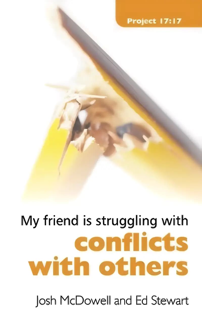 Book cover of 'Struggling With Conflicts With Others (Project 17:17)'